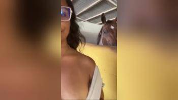 video of flashing at the stable